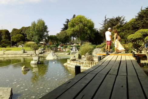 Parque Japonés de La Serena (Kokoro No Niwa) – Tricahue Propiedades