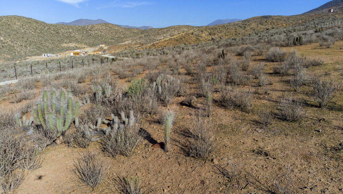 DJI_0154