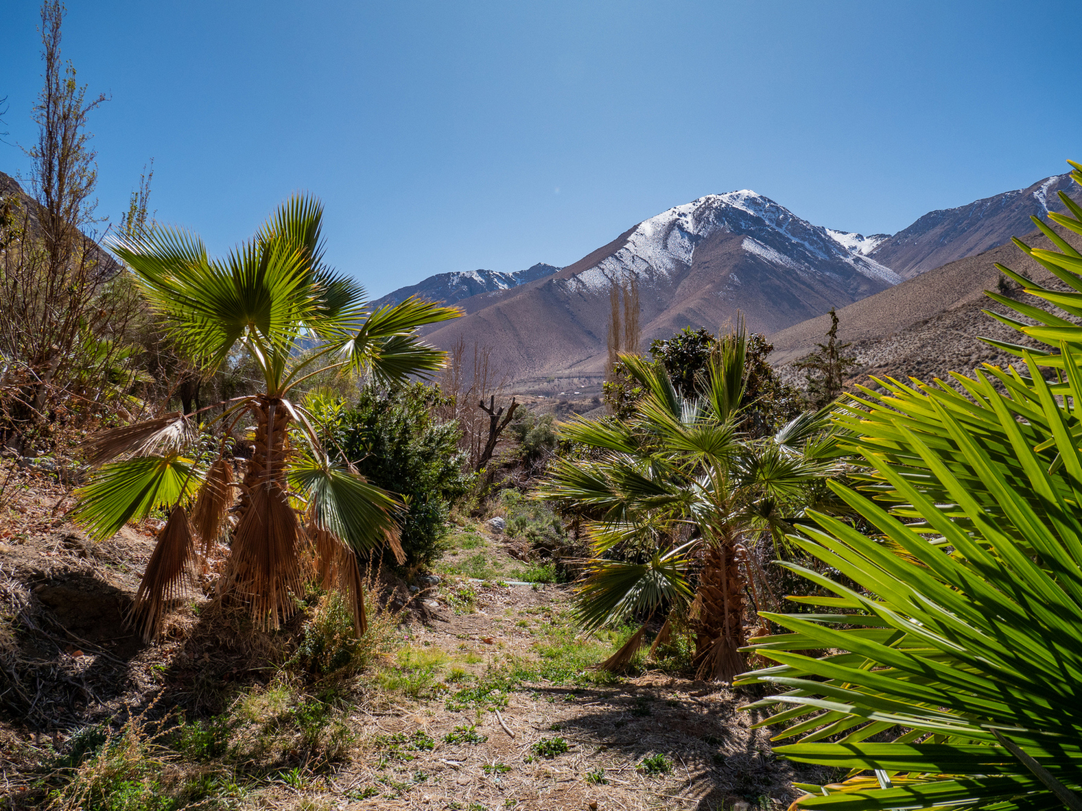 Venta de hermoso terreno en Horcón, Valle del Elqui, 7.200 m2, electricidad y agua potable. 5.350 UF