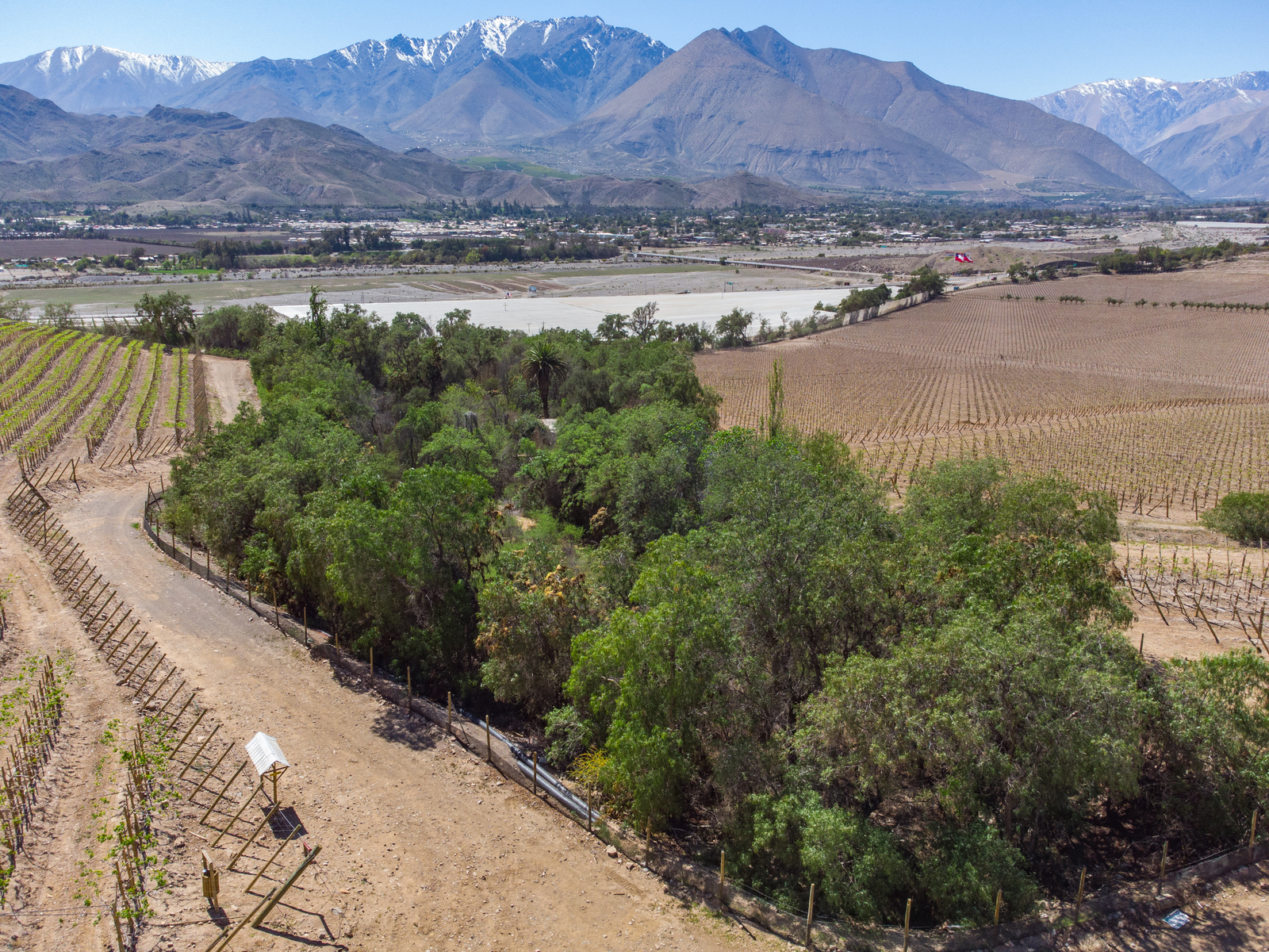 Venta de terreno de 1.03 ha, a 3 minutos Vicuña. $76 millones