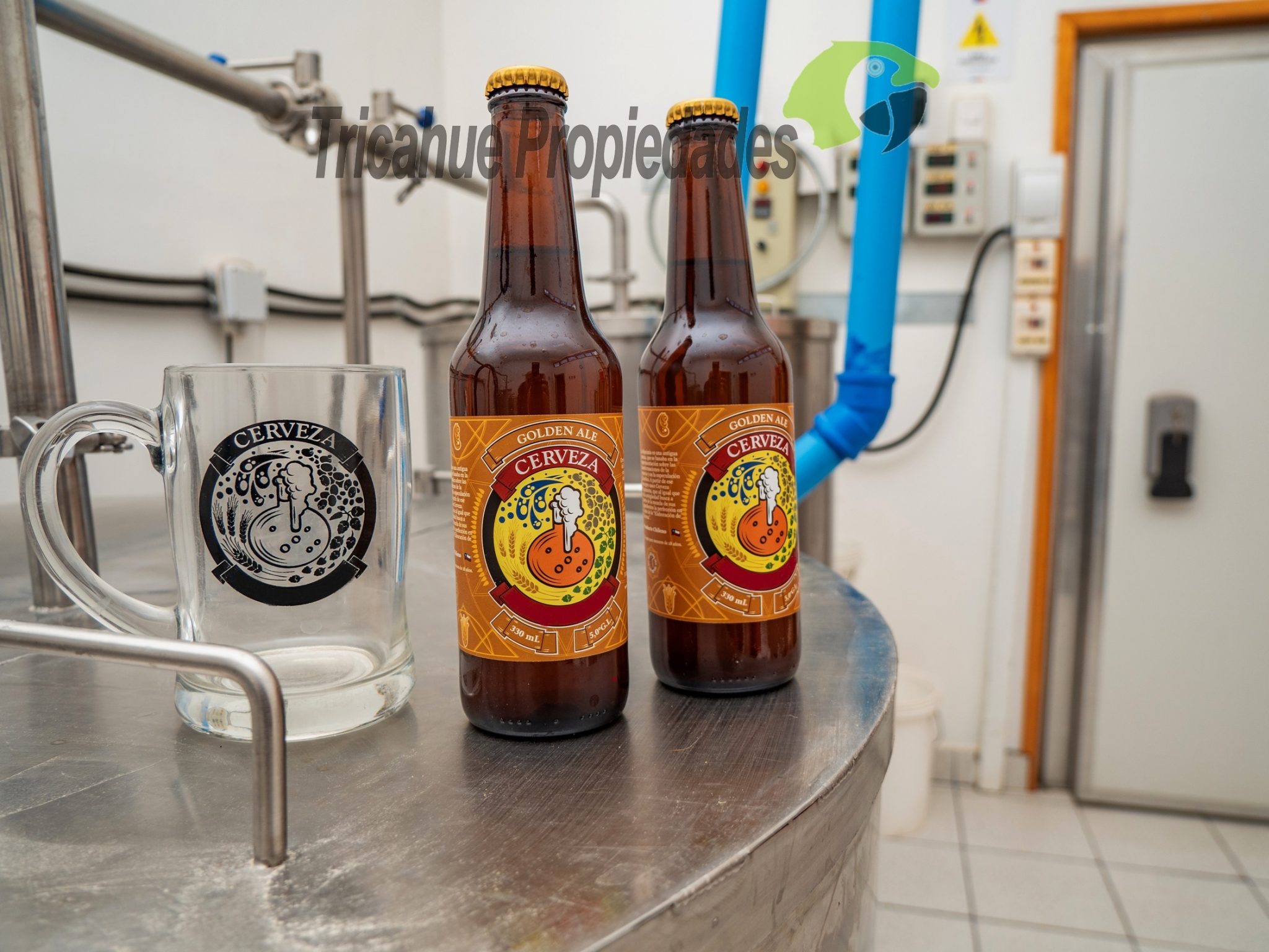 Venta de cervecería artesanal más casa en Paihuano, Valle del Elqui. $165 millones