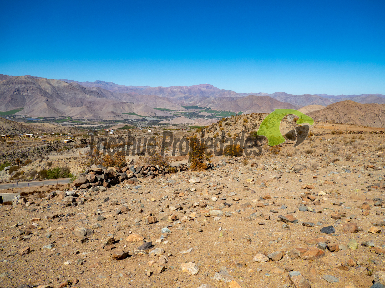 Gran parcela en sector Mamalluca (Vicuña), 11.000 m2, Valle del Elqui. $55 millones