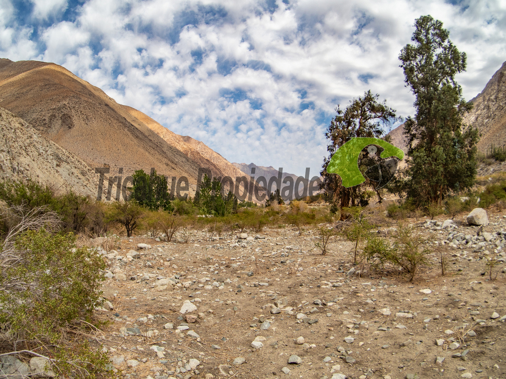 Parcela en Cochiguaz con agua de riego. 6.100 m2., Valle del Elqui. $60 millones