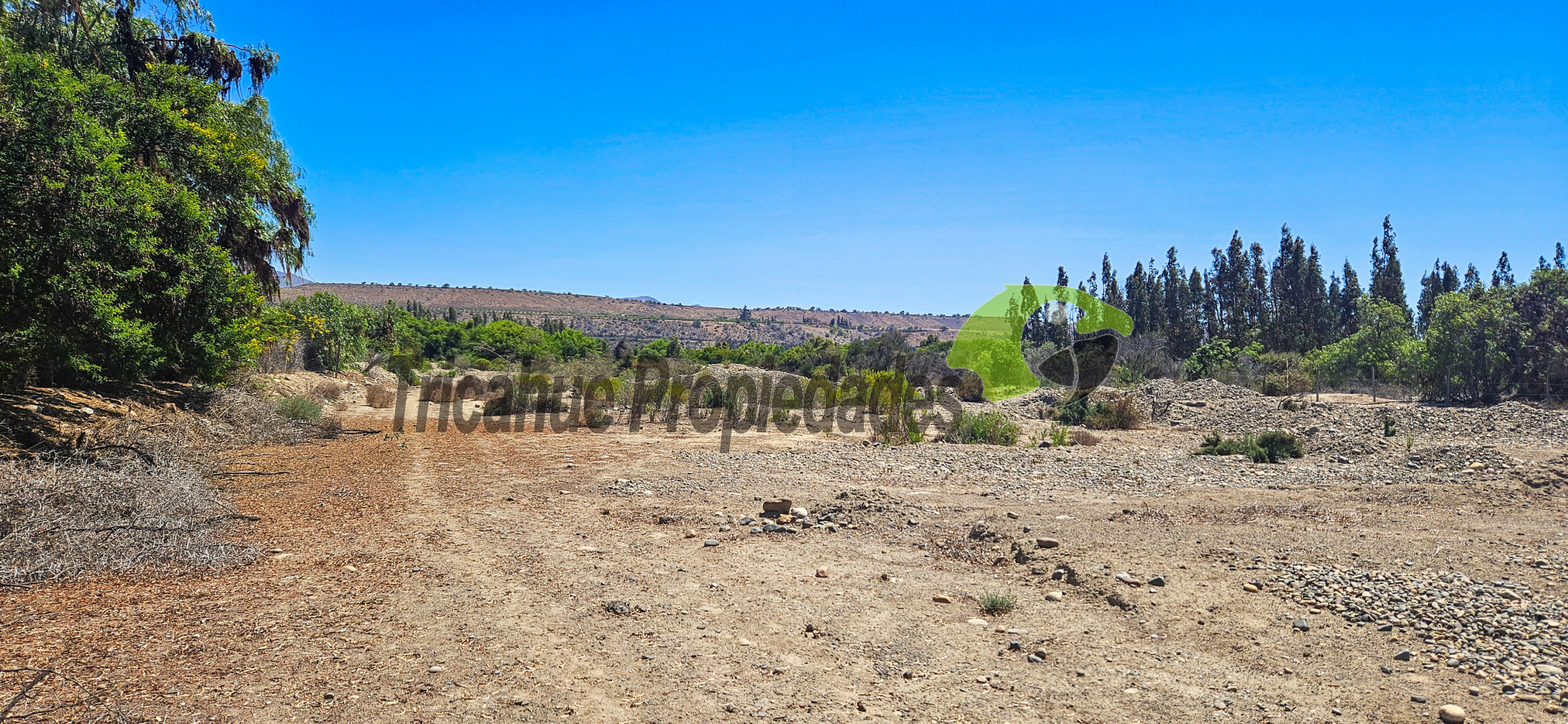 Venta de terreno de 9 ha en San Julian, Ovalle. $180 millones