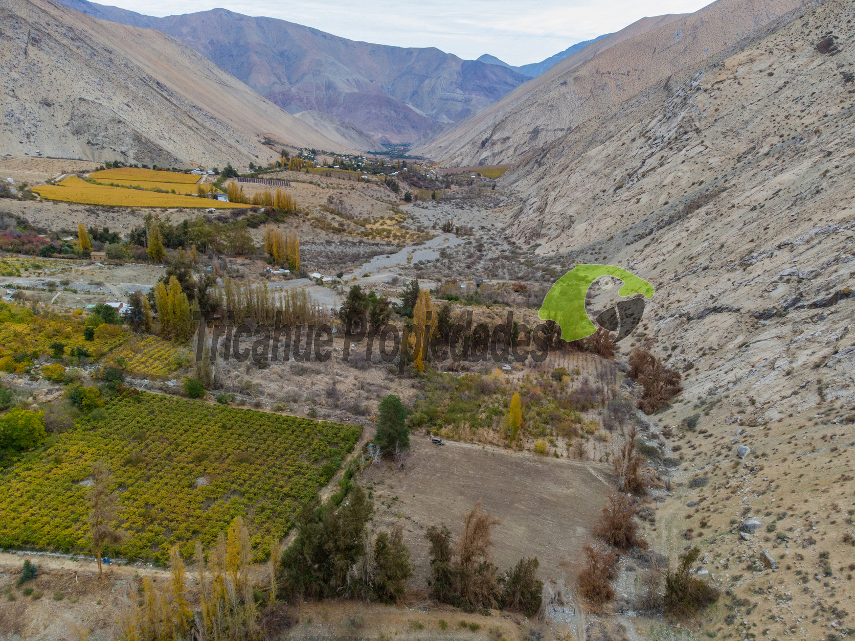 Terreno de 1 hectárea en Paihuano. Valle del Elqui. $53 millones