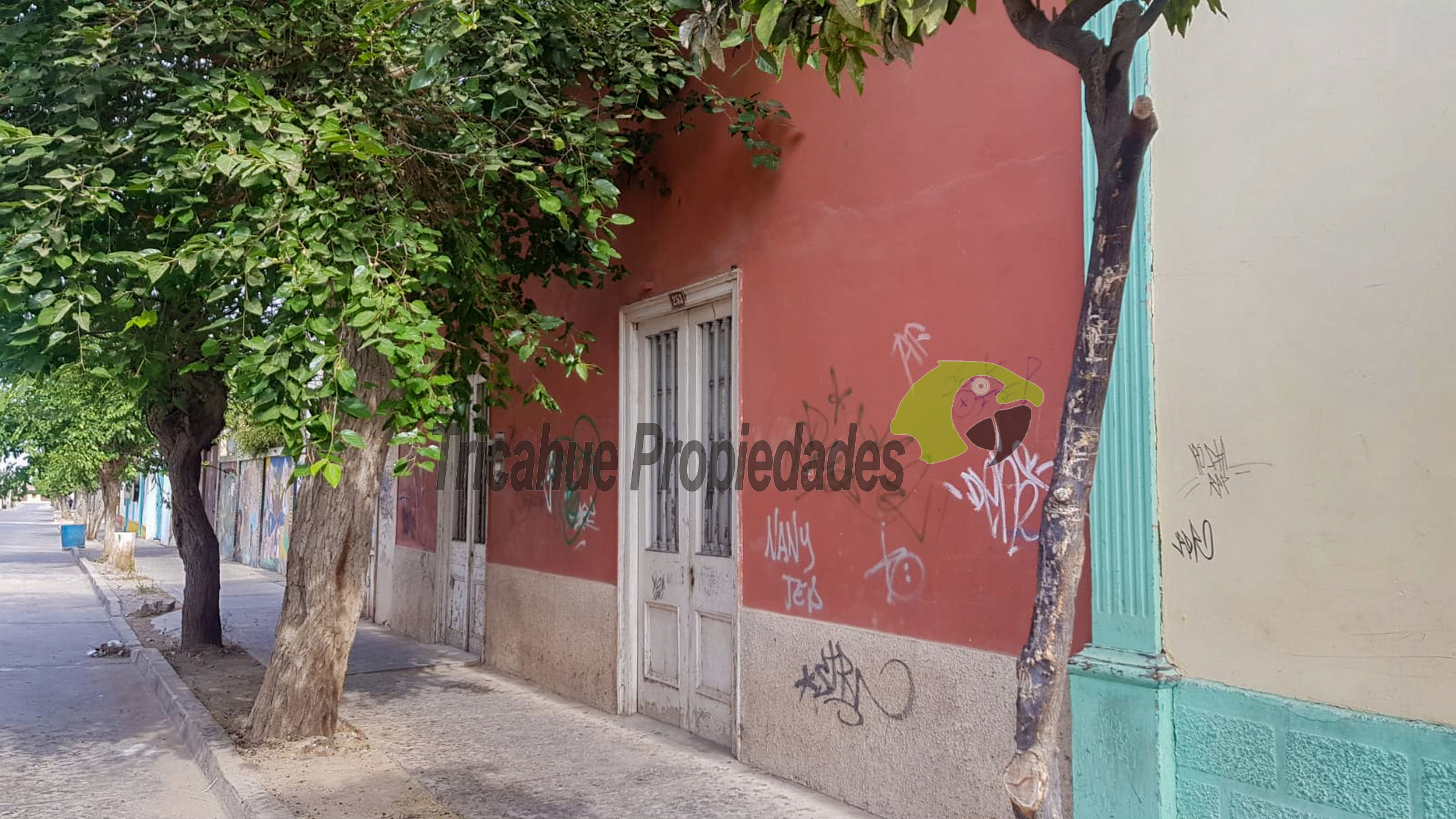 Venta de casona en pleno centro de Vicuña, terreno de 500 m2. 4.000 UF