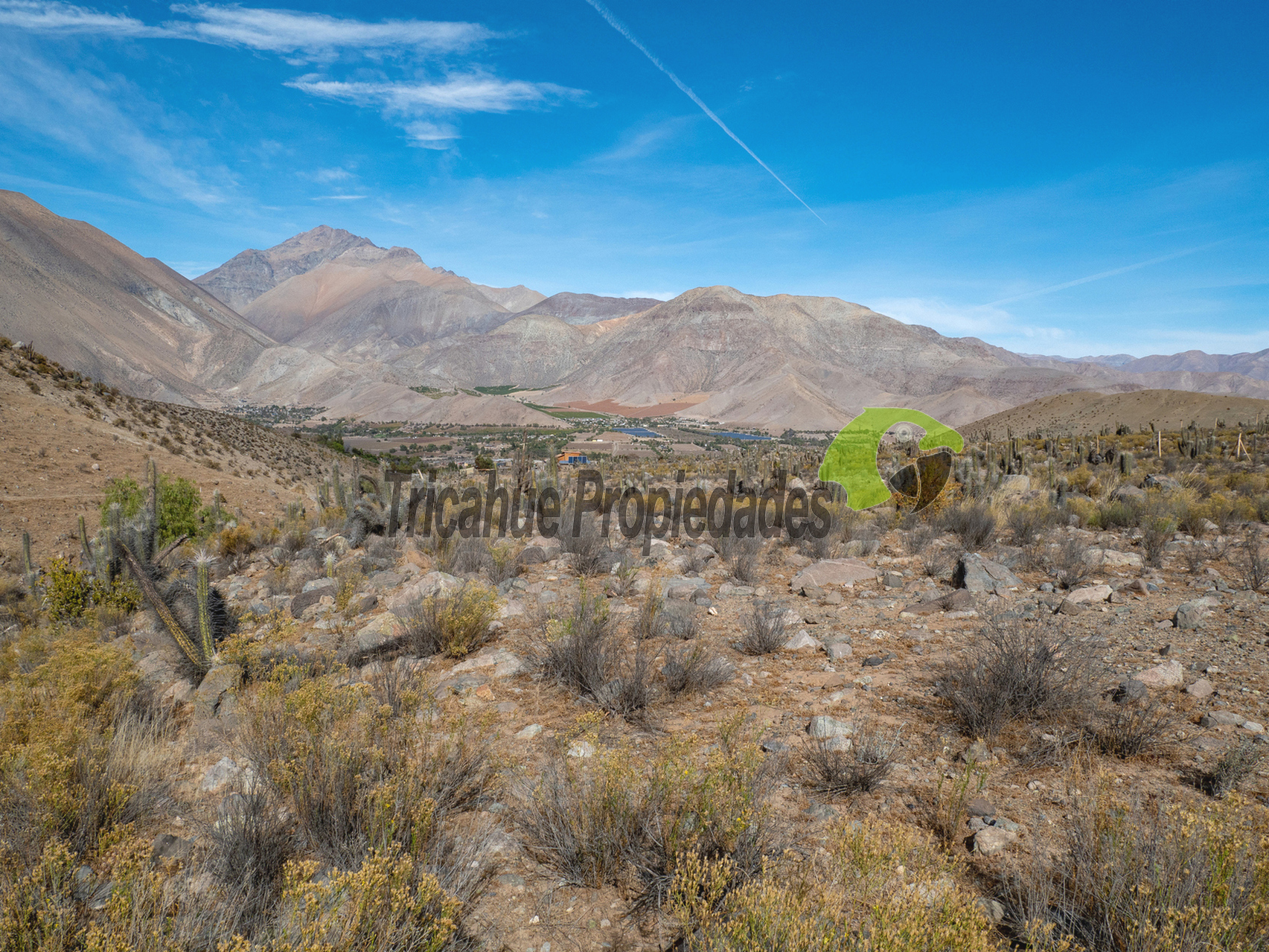 Venta de gran Parcela en sector Mamalluca (Vicuña, Valle del Elqui), 10.000 m2. $40 millones