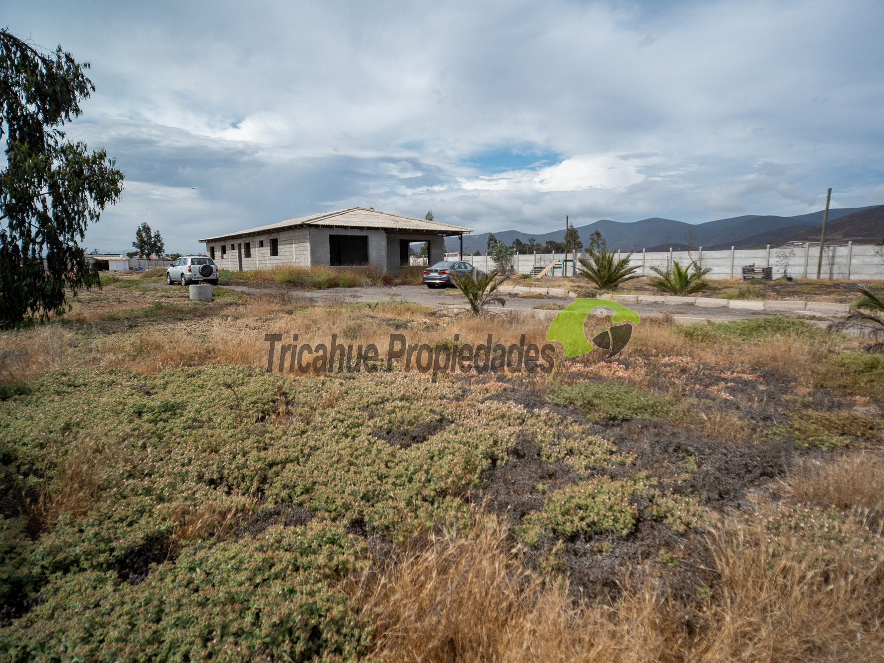 Venta de parcela plana, casa y piscina en construcción, 5.900 m2. Pan de Azúcar, Coquimbo. $130 millones