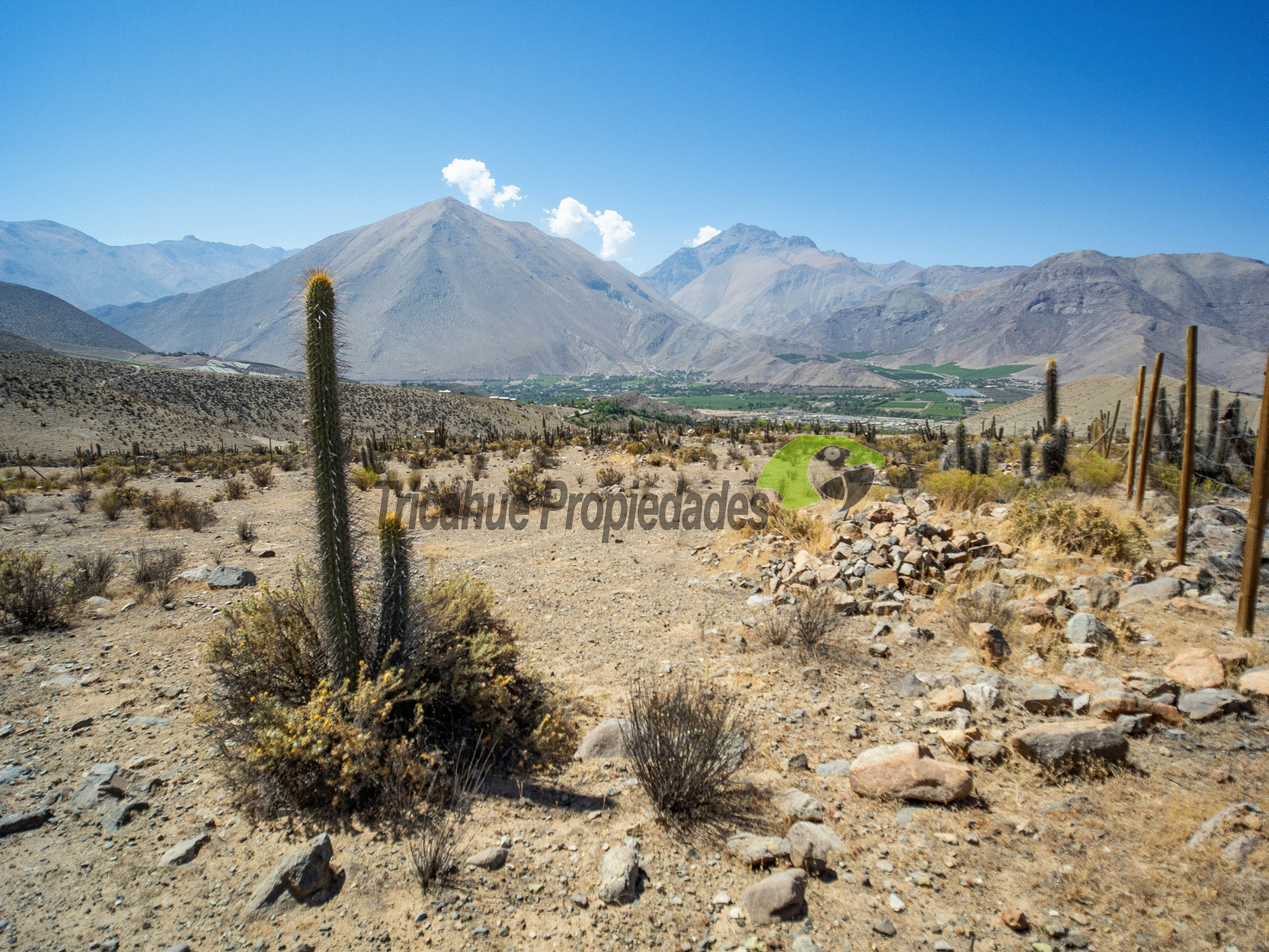 Venta de parcela en sector Mamalluca (Vicuña, Valle del Elqui), 5.000 m2. $44 millones