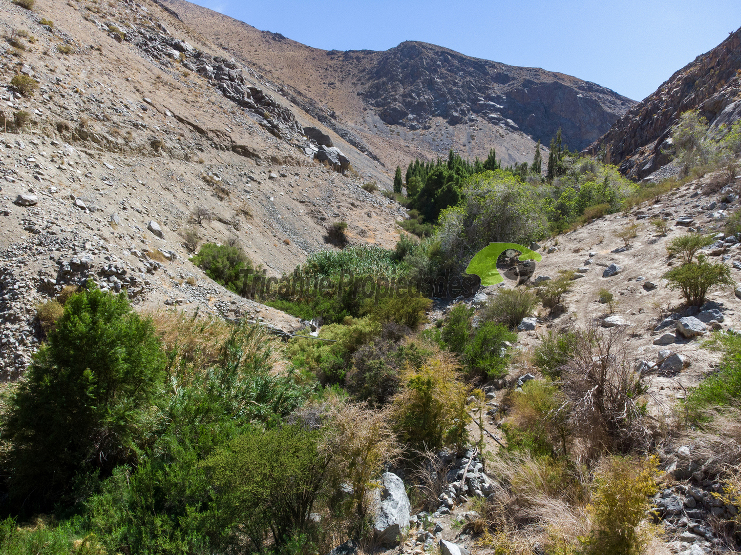 Venta hermoso terreno en Huanta, agua de riego, 2.5 ha. Vicuña, Valle del Elqui. $110 mm